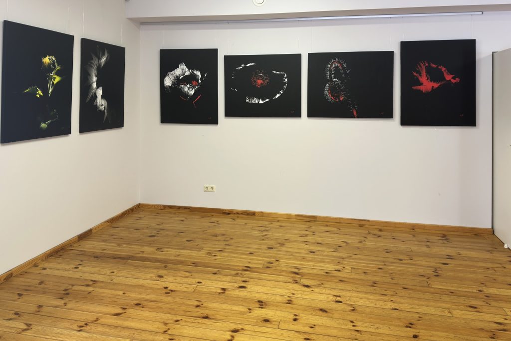 gfart.eu-19
